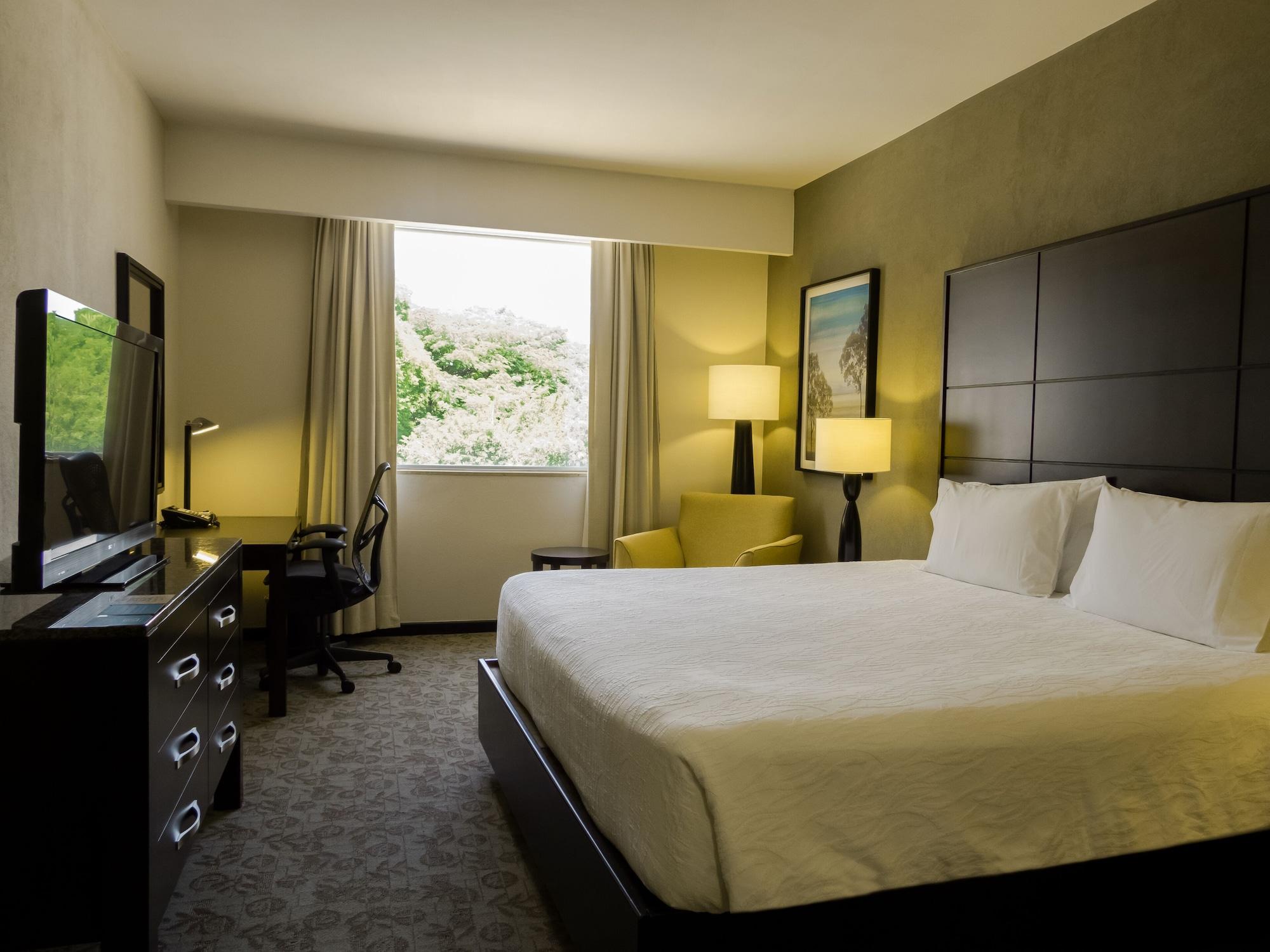 Hilton Garden Inn Тустла-Ґутьєррес Екстер'єр фото